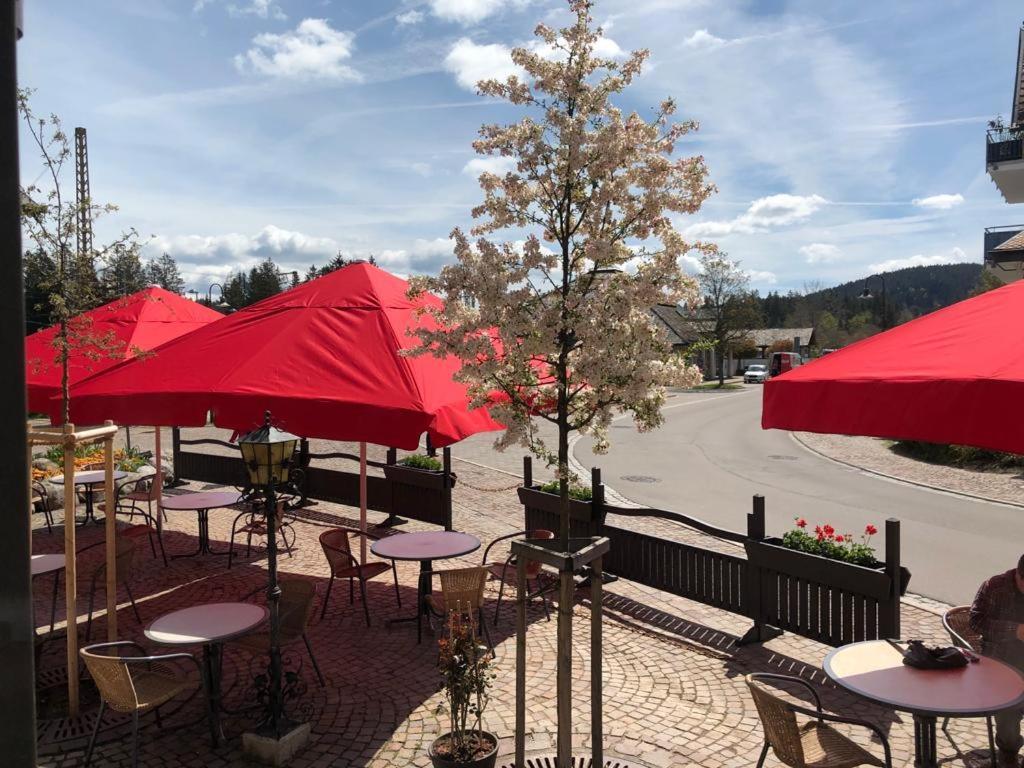Hotel Schwarzwaldhof Хинтерцартен Экстерьер фото
